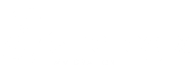 strategixs immigration 